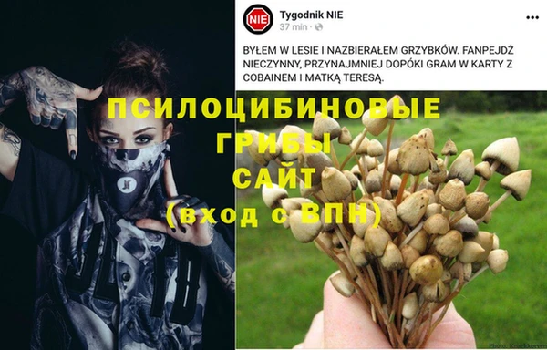 каннабис Алексеевка
