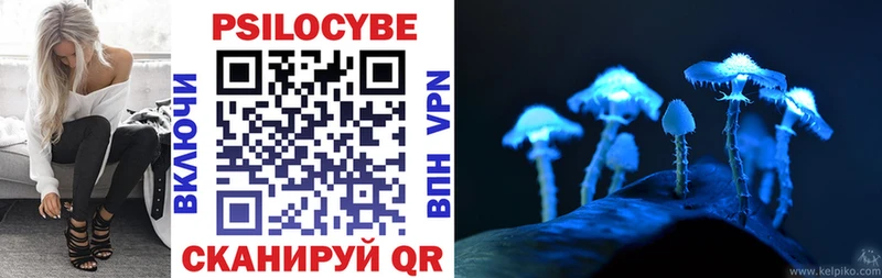 Псилоцибиновые грибы Psilocybine cubensis  Суровикино 